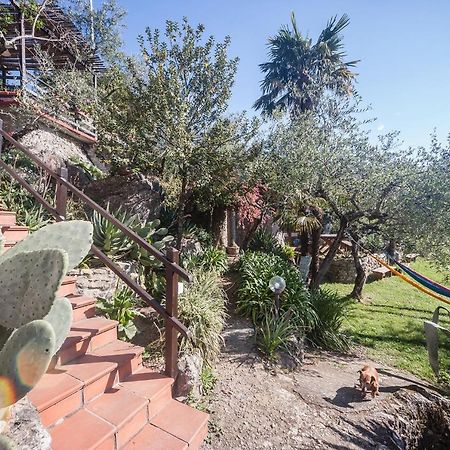 La Fattoria Di Nonna Eugenia Bed & Breakfast Lerici Bagian luar foto