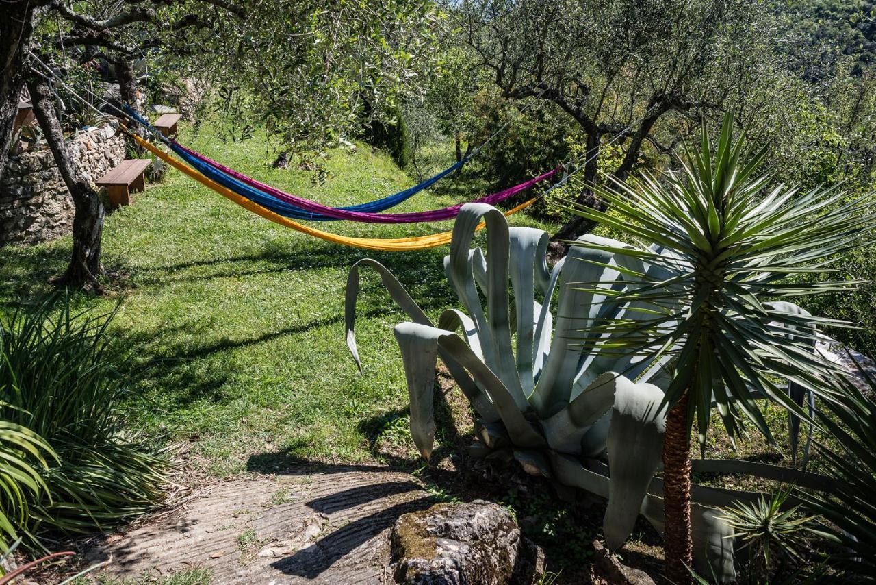 La Fattoria Di Nonna Eugenia Bed & Breakfast Lerici Bagian luar foto