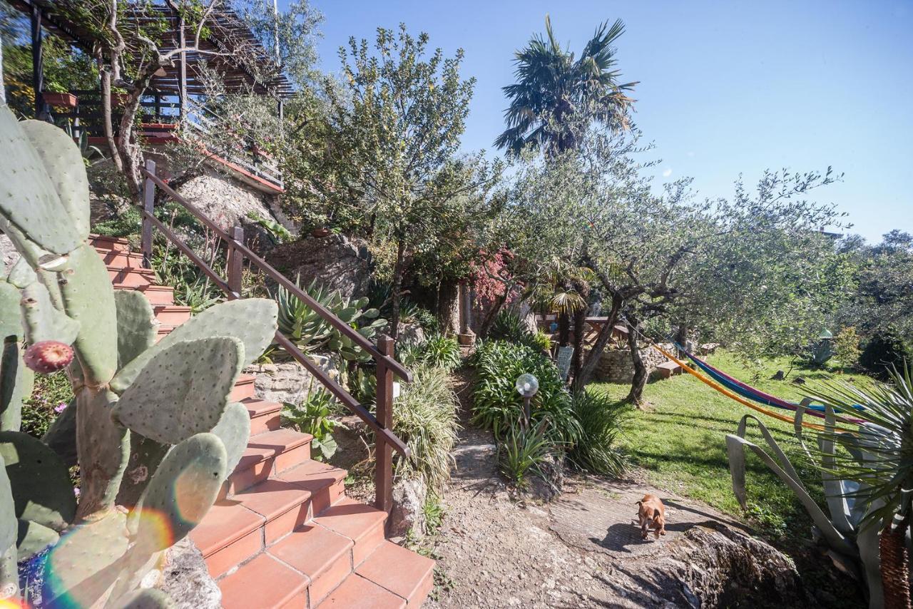 La Fattoria Di Nonna Eugenia Bed & Breakfast Lerici Bagian luar foto