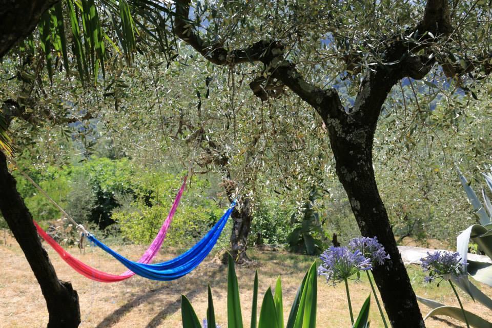 La Fattoria Di Nonna Eugenia Bed & Breakfast Lerici Bagian luar foto